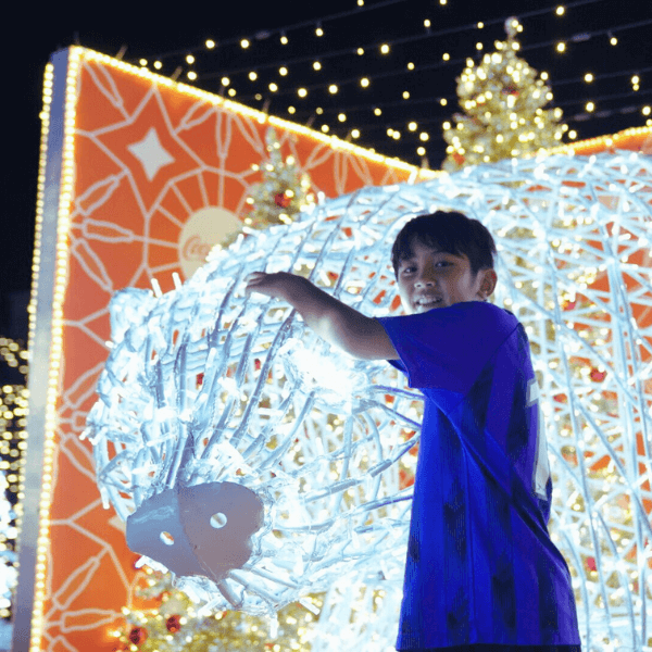 Classic Christmas – where the holiday spirit comes to life